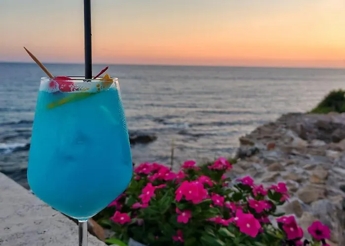 Mg * 산타마리넬라